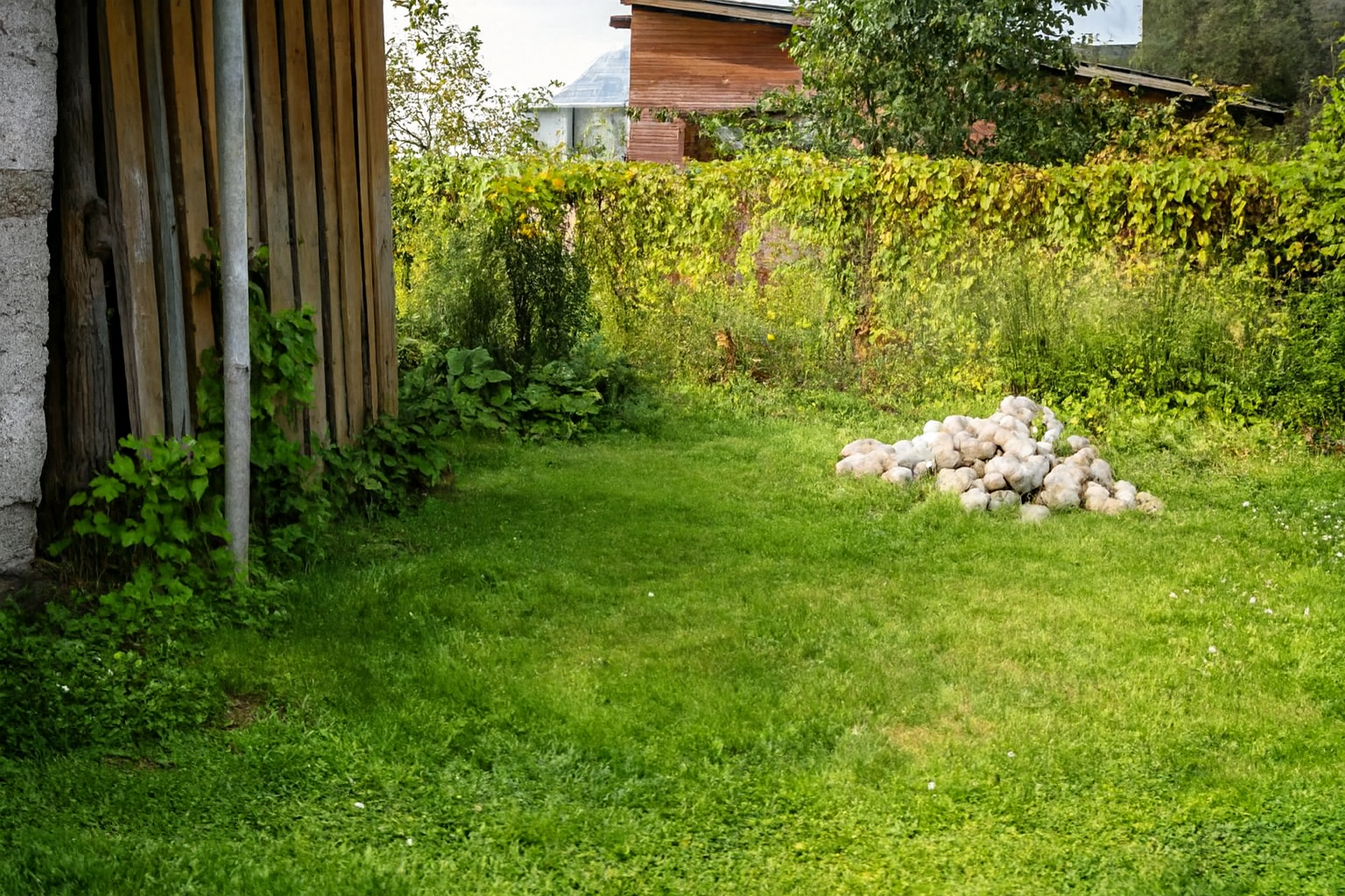 Copilot_20260126_165951